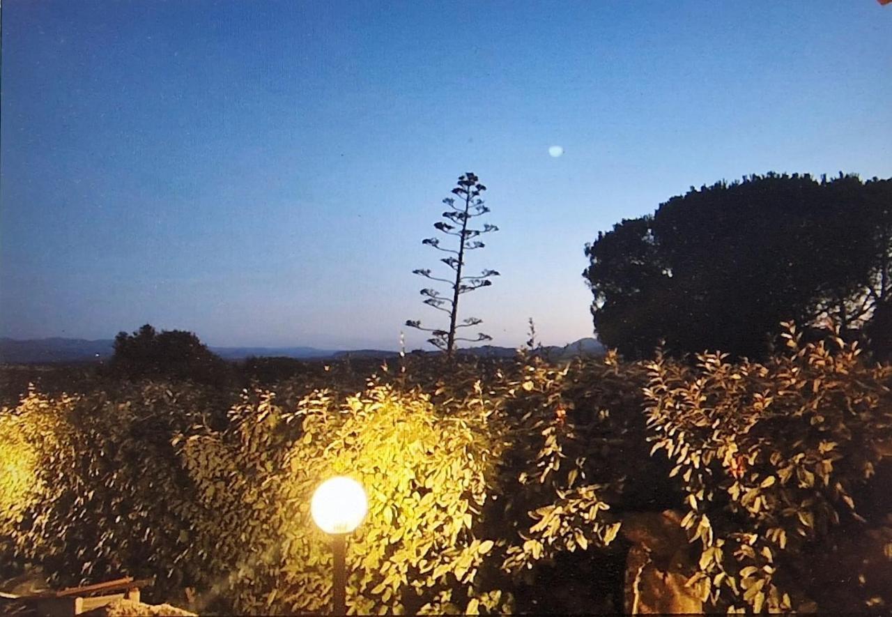 Rifugio Monte Pino Βίλα Telti Εξωτερικό φωτογραφία