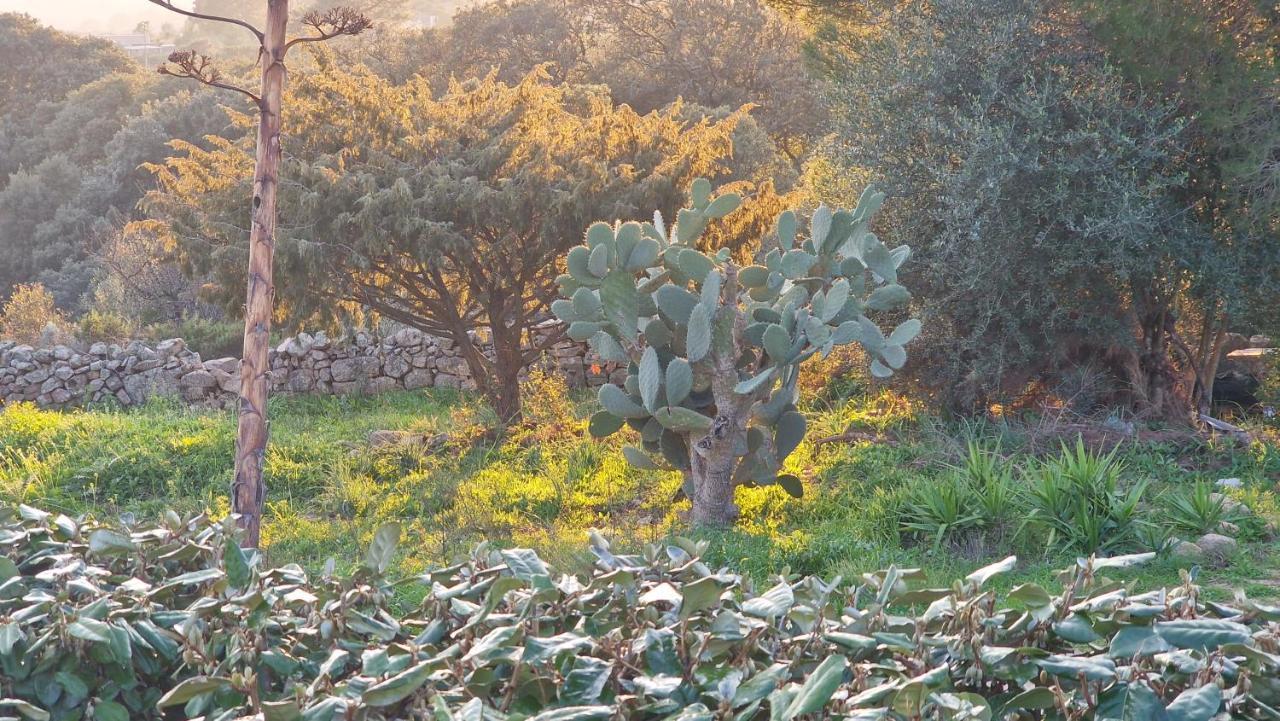 Rifugio Monte Pino Βίλα Telti Εξωτερικό φωτογραφία